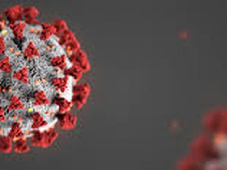A three-dimensional illustration of a coronavirus particle.